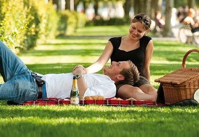 Verliefd stel geniet van een romantische picknick met mand en champagne in het park