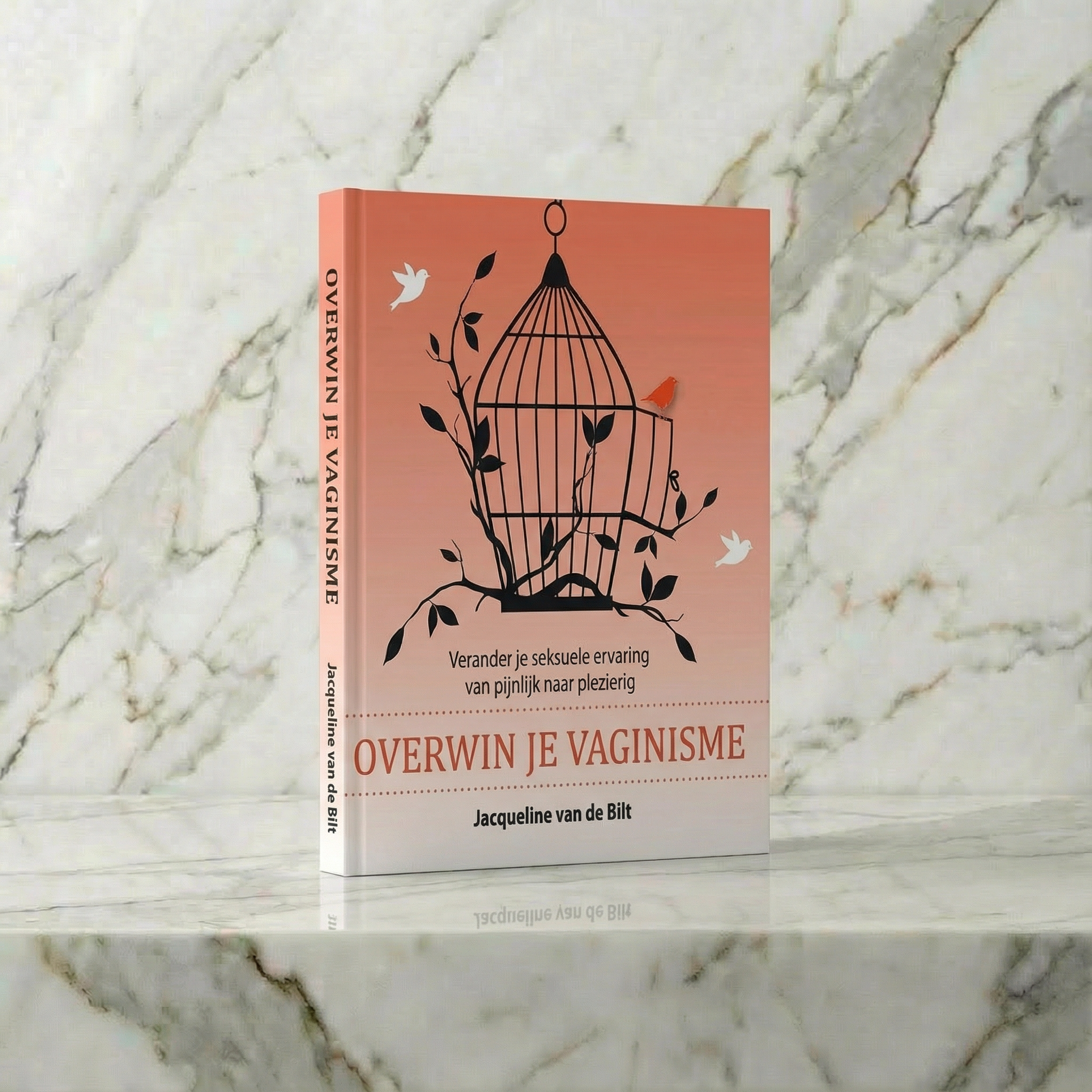Boek Overwin je vaginisme met vogelkooi op de omslag op een marmeren plank
