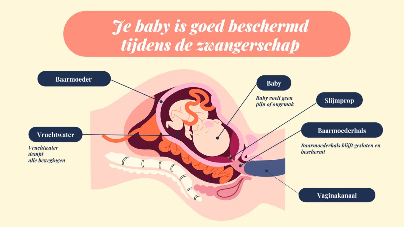 Illustratie van de beschermende lagen rond een baby tijdens de zwangerschap: vruchtwater, baarmoeder en vliezen