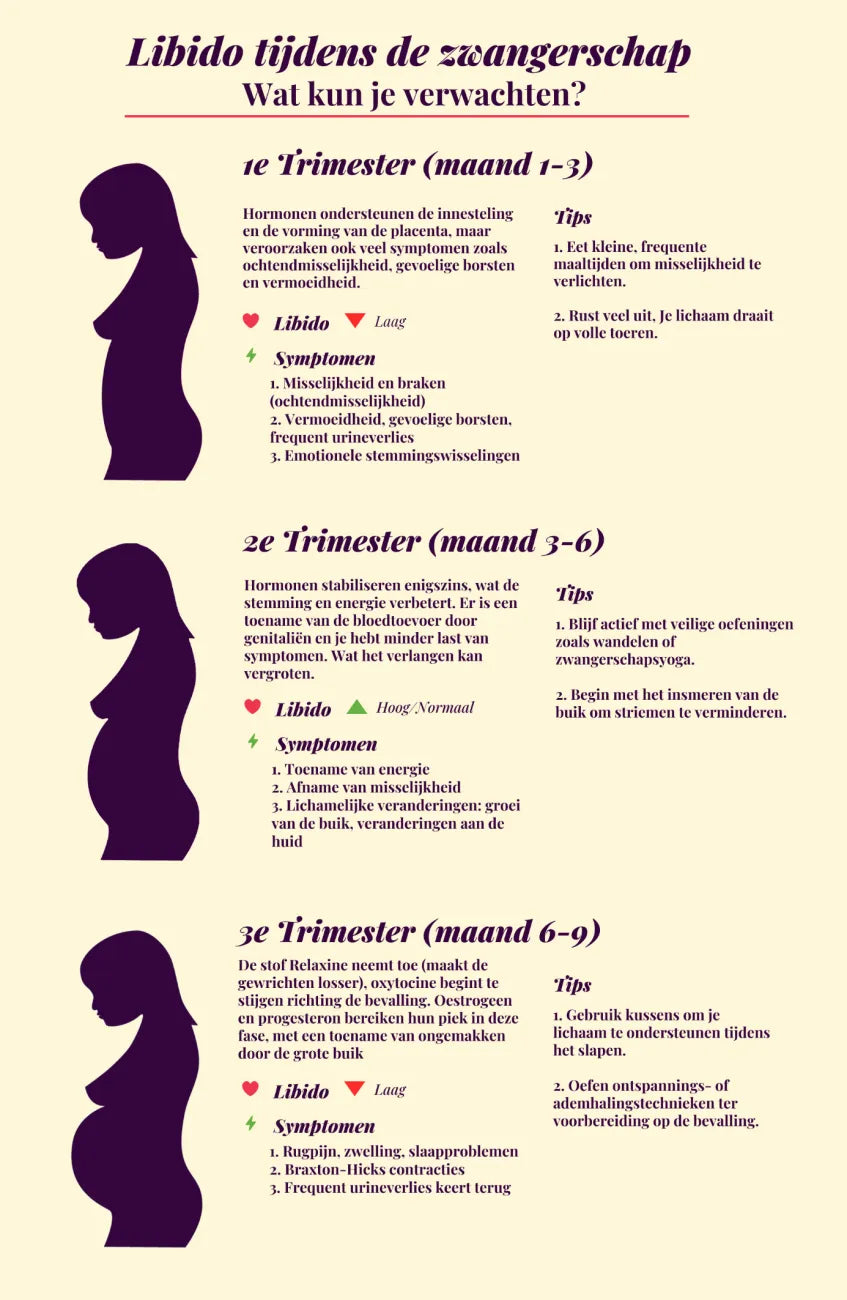 Infographic over veranderingen in libido per trimester tijdens de zwangerschap met praktische tips voor intimiteit