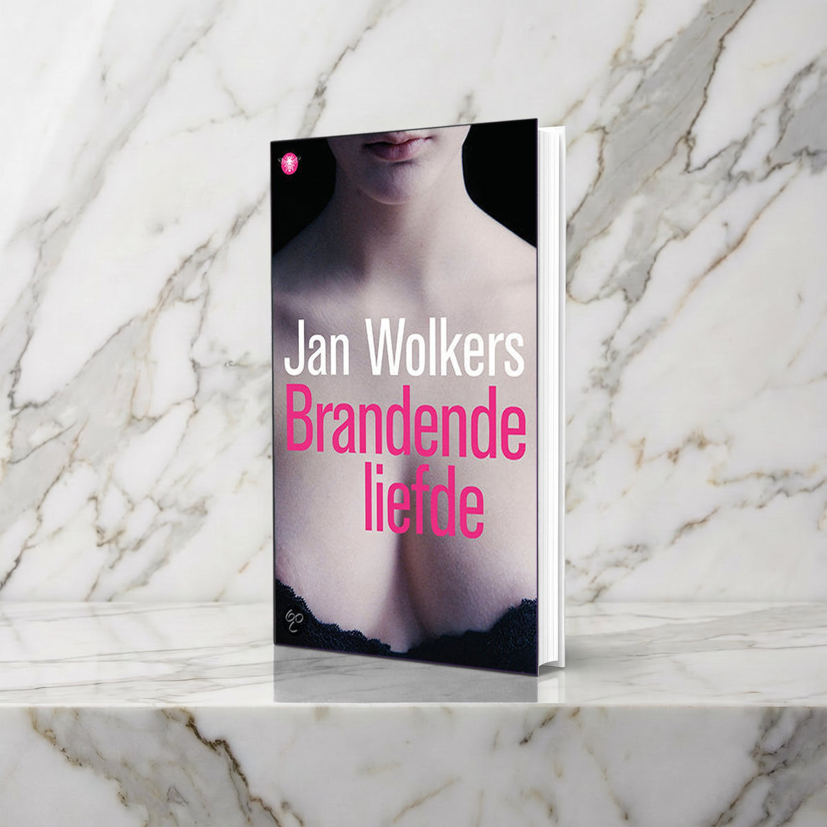 Boek Brandende liefde van Jan Wolkers rechtop op een marmeren plank