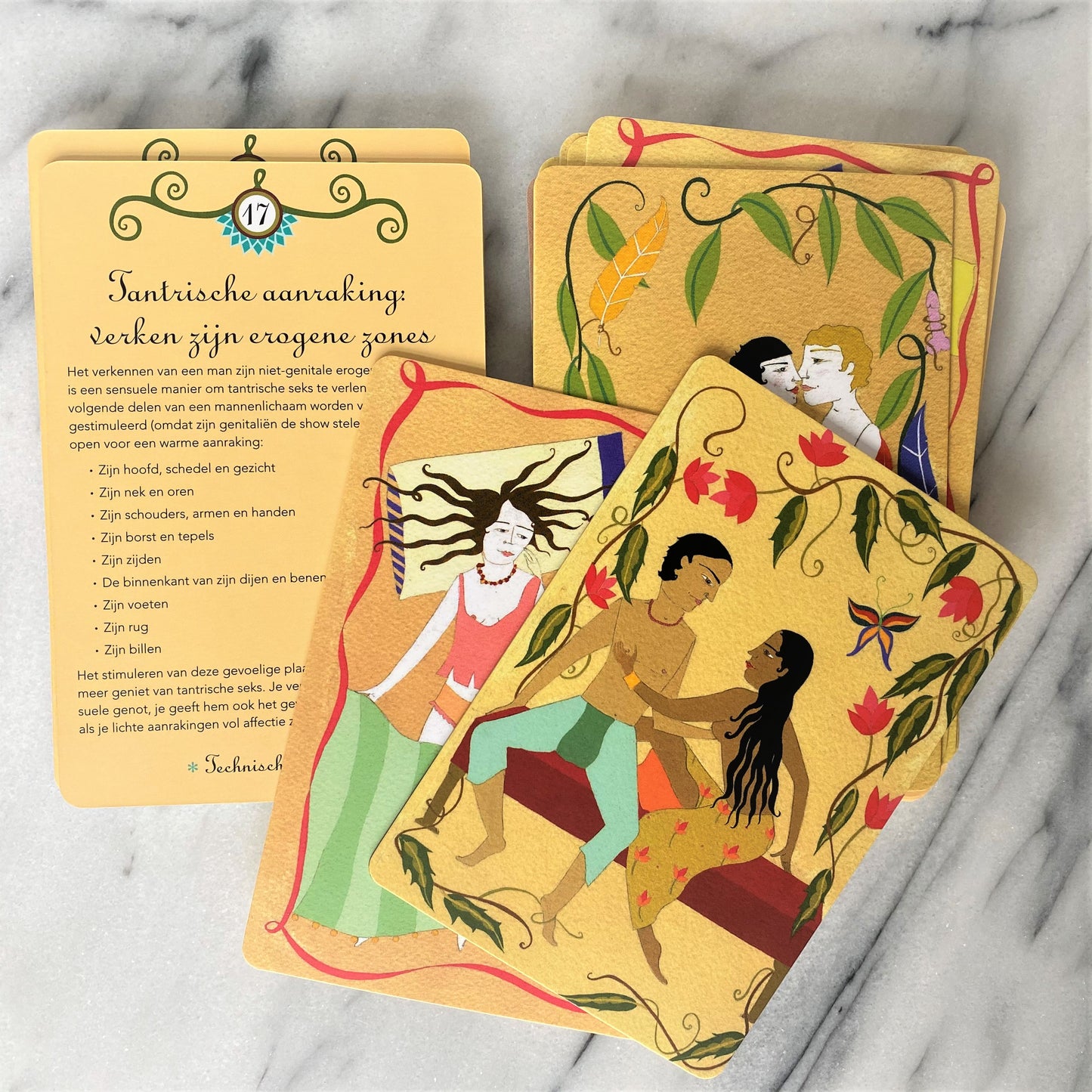 Close-up van Tantra instructiekaarten met leesbare tekst en illustraties