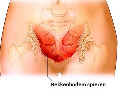 is anale seks een goed gevoel voor vrouwen