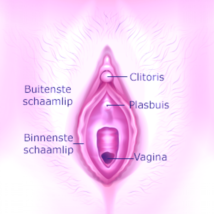Tips voor beffen vagina en clitoris