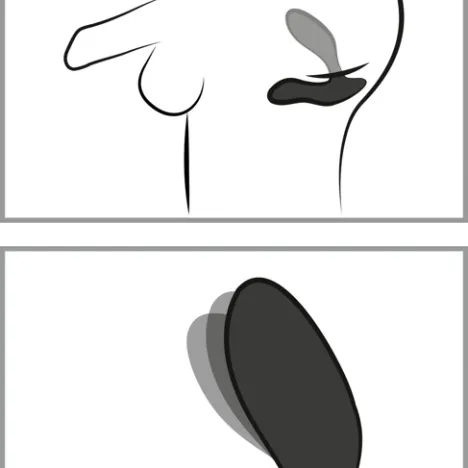 Vector positie
