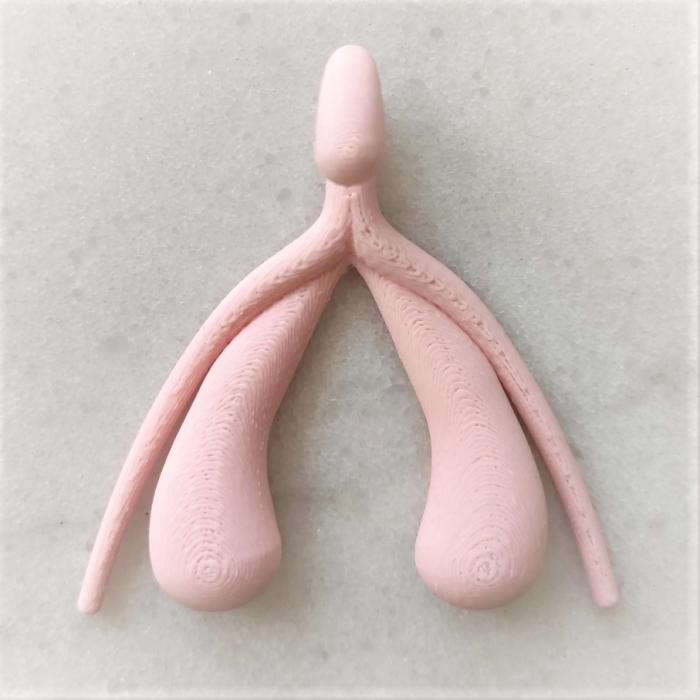 clitoris compleet beeld