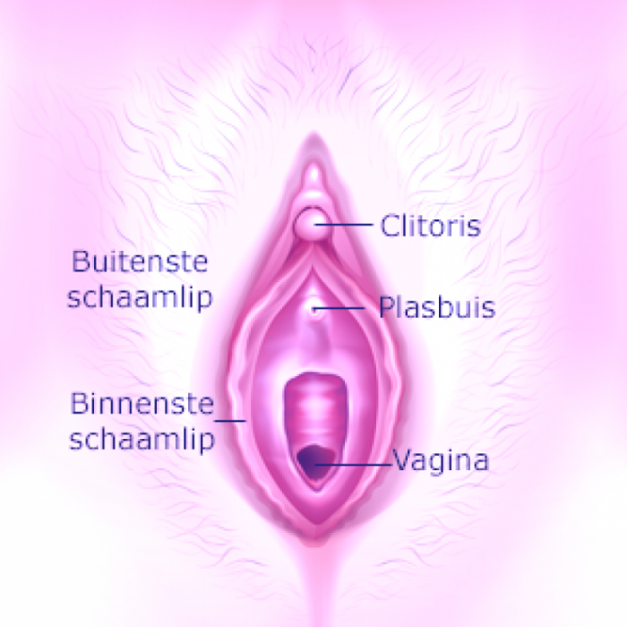 vagina en plek van clitoris